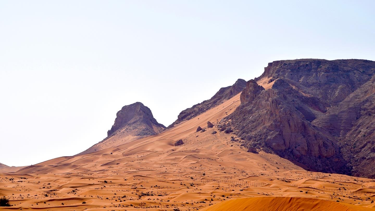 Desert safari in UAE